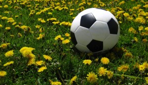 soccer ball2